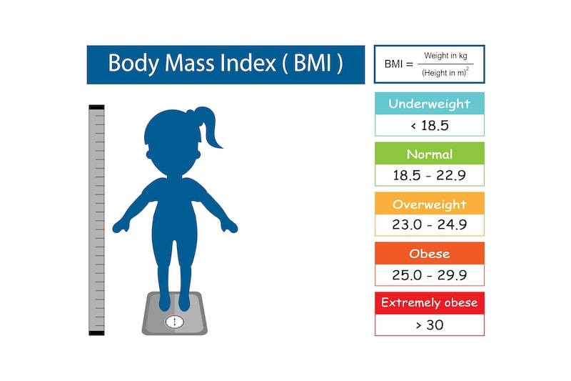 Vector illustration showing different BMI ranges